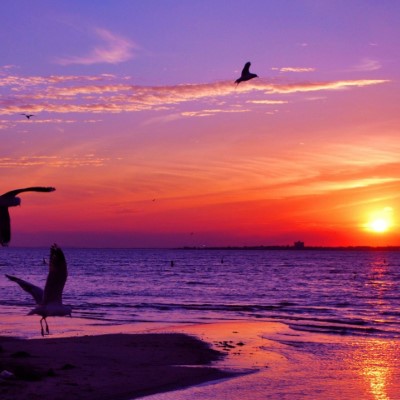 1920 x 1080 HD Wallpapers 2754